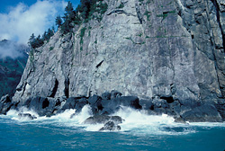 Davidson Point at Driftwood Bay