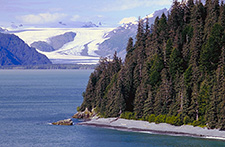 Ellsworth Glacier at the head of Day Harbor