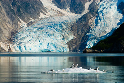 Northwestern Fjord Northwestern Fjord