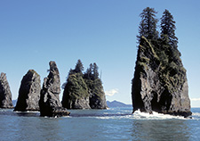 Pillar Point, Resurrection Bay