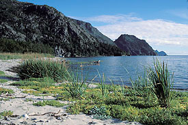 Ribbonfall Cove, Lower Northwestern Fjord Ribbonfall Cove